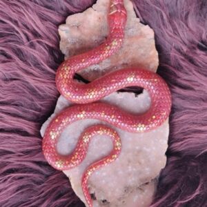 Orgonite Slang 'Wortel'