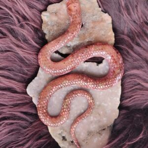Orgonite Slang 'Sacraal'