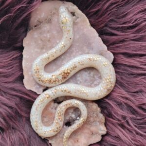 Orgonite Slang 'Kruin'