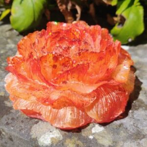 Orgonite Roos 'Orange Blossom'