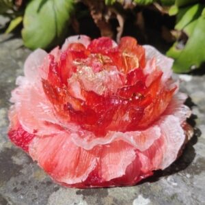 Orgonite Roos 'Juicy Summer'