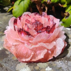 Orgonite Roos 'Letting Go'