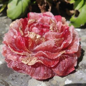 Orgonite Roos 'Rooted Womb'
