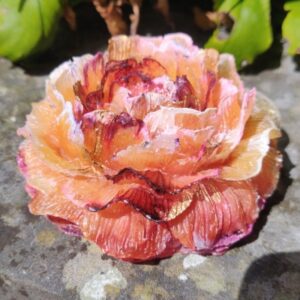 Orgonite Roos 'Summer Honey'