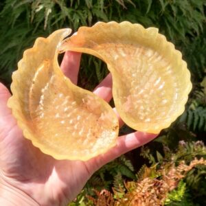 Orgonite Vleugels 'Pineapple'