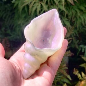 Orgonite Schelp 'Pearl'
