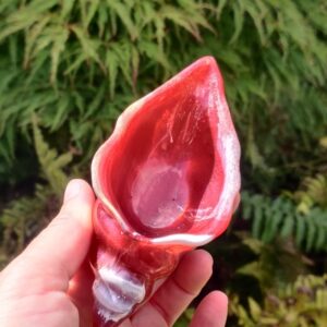 Orgonite Schelp 'Burgundy'